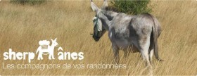 Sherp'Ânes, les ânes du causse - Gîte de Pouss'Combe