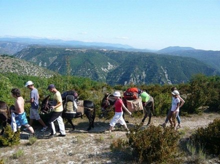 Le Larzac...Un gîte, Une étape, Un séjour pleine nature, Un vrai bol d'air... - Gîte de Pouss'Combe